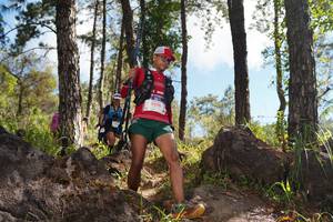 BIB: 5578
                            <button type="button" onclick="openModal(18916414)" class="btn btn-primary btn-sm float-right btn-popup" data-toggle="modal" data-target=".modal-high-quality">
                        <i class="fas fa-shopping-cart"></i> Add to Cart
                    </button>
                                            <button type="button" onclick="isThisMe(18916414, true)" class="btn btn-success btn-sm float-right btn-popup btn-isme hidden" data-toggle="tooltip" data-placement="bottom" title="นี่คือรูปของคุณใช่ไหม คลิกที่นี่เพื่อเอาเข้าอัลบั้ม">
                        <i class="fas fa-plus"></i> Add to album
                    </button>
                    <button type="button" onclick="isThisMe(18916414, false)" class="btn btn-warning btn-sm float-right btn-popup btn-isnotme hidden">
                        <i class="fas fa-ban"></i> Remove from album
                    </button>